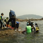 とれた海の生き物たちは?