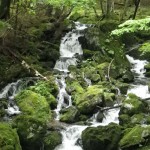 見てて涼しくなるような風景