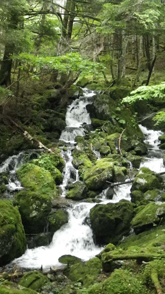 見てて涼しくなるような風景