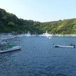 釣りをする波浮漁港