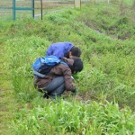 野草は見つけられたかな？