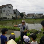 田植えの仕方をレクチャーしてもらってます