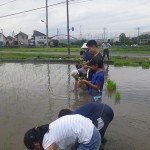 うまく田植えできてるかな？