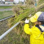 はざ掛けこうするんだ！