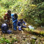 後ろでも山芋堀り